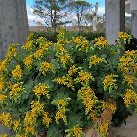 Casa de Férias Eden